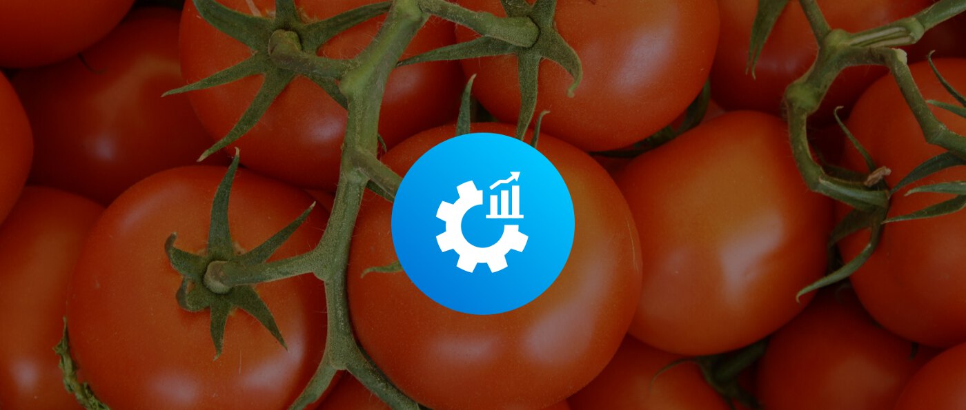 Die Pomodoro Technik