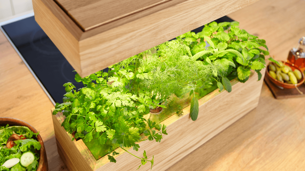 Beleuchteter Pflanztopf aus hellem Holz mit frischen Kräutern