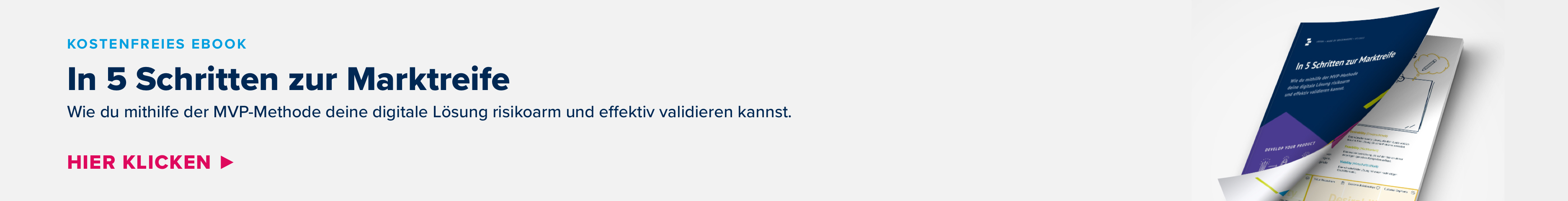 Kostenloses E-Book MVP 